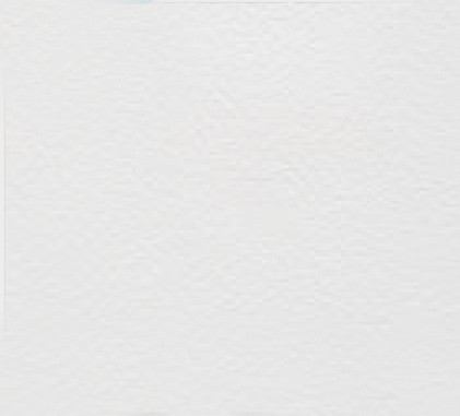 Membrane armée 150/100e blanc Feeling 1,65m x 25m en rouleau