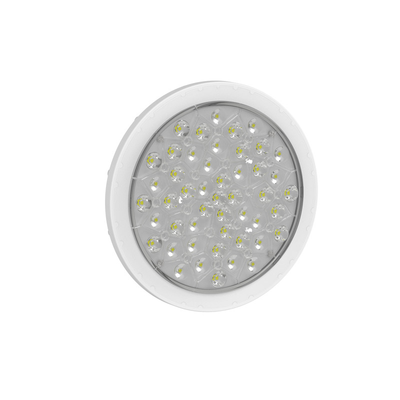 Ampoule PAR56 dimmables blanc 48 LED 16,6W
