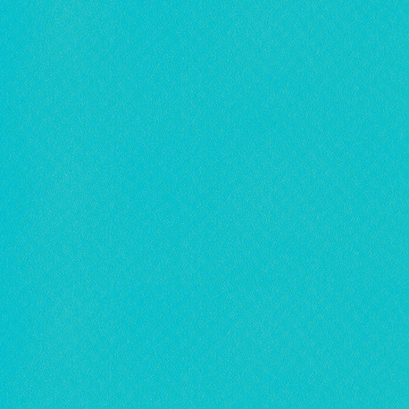 Membrane armée 150/100e vert caraïbes One unies 1,65m x 25m en rouleau