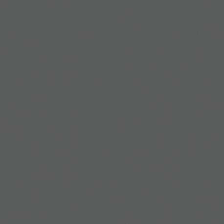 Membrane armée 150/100e gris balsalte Premium unies vernies 1,65m x 25m en rouleau