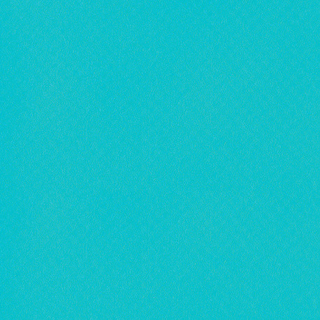 Membrane armée 150/100e vert caraïbes Antidérapantes New Grip1,65m x 10m en rouleau