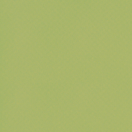 Membrane armée 150/100e vert naturel Antidérapantes New Grip1,65m x 10m en rouleau